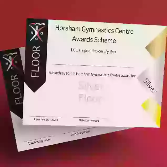 HGC Award Floor Silver Certificate & Medal